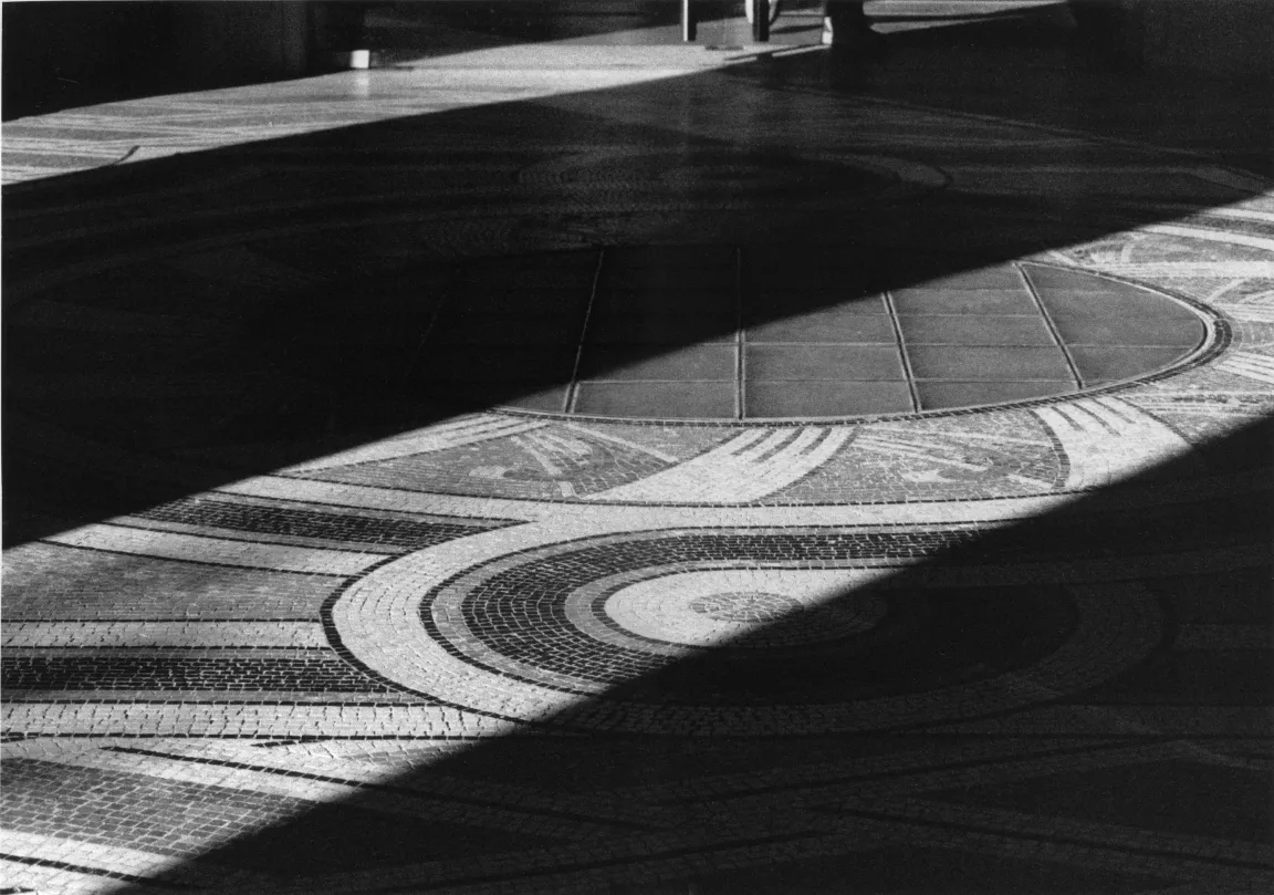 Vasco Ascolini, Série "Petit Palais" : Jeux de lumière sur le sol en mosaïques du hall d'entrée