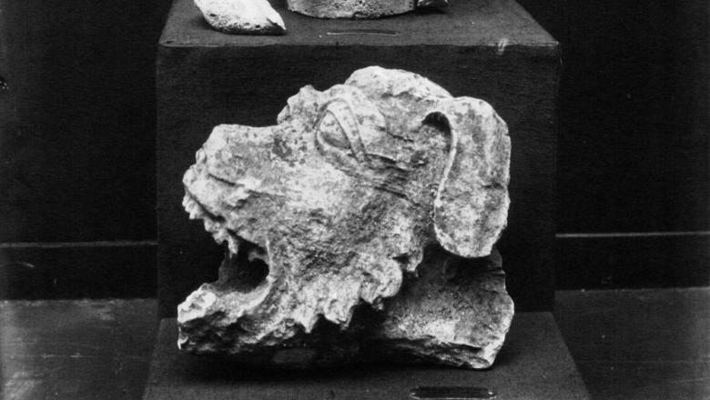 Gargouilles et fragments de la cathédrale de Soissons